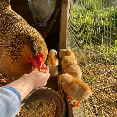 Echappee Belle Verdoyante 20 Kms Du Puy