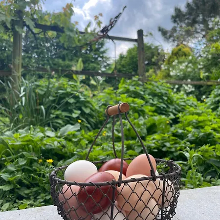 Δωμάτια σε οικογενειακή κατοικία Echappee Belle Verdoyante 20 Kms Du Puy Mauleon