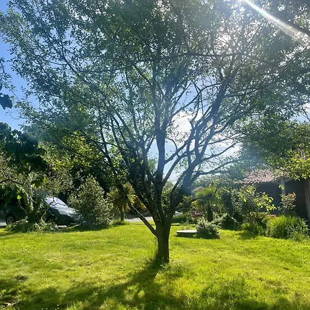 Homestay Echappee Belle Verdoyante 20 Min Du Puy